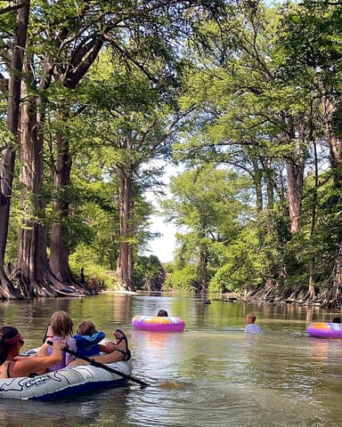 People floating on inflatable tubes in a river lined with tall cypress trees